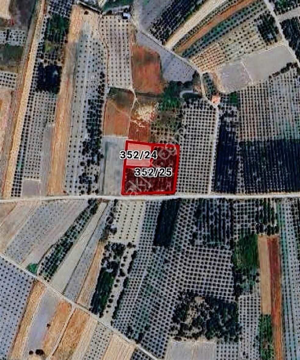 Korkuteli Sülekler Satılık Tarla ANTALYA'NIN GÖZDE YAYLASI KORKUTELİ SÜLEKLERDE 3800 M² SATILIK