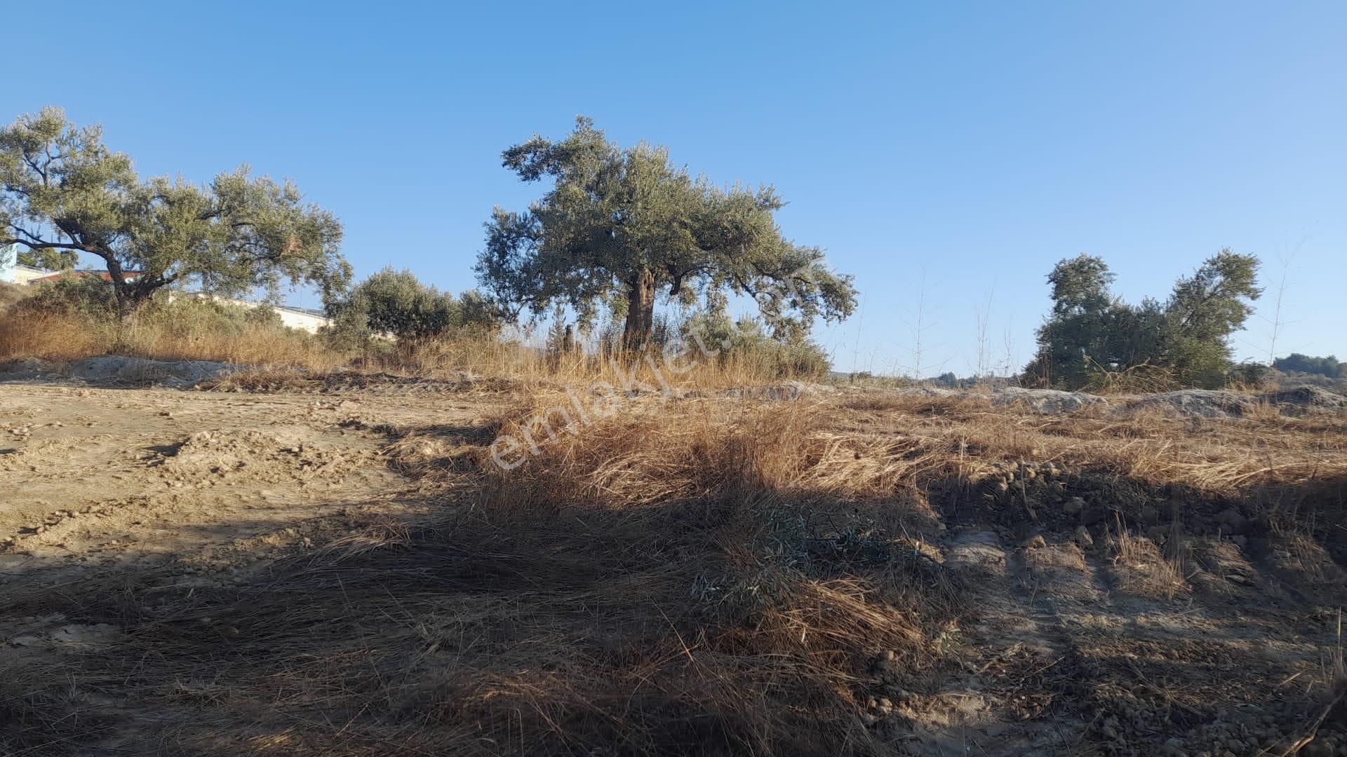 Kuşadası Türkmen Satılık Villa İmarlı  KUŞADASINI TEPEDEN GÖREN HAZIR PROJELİ ŞAHANE ARSA