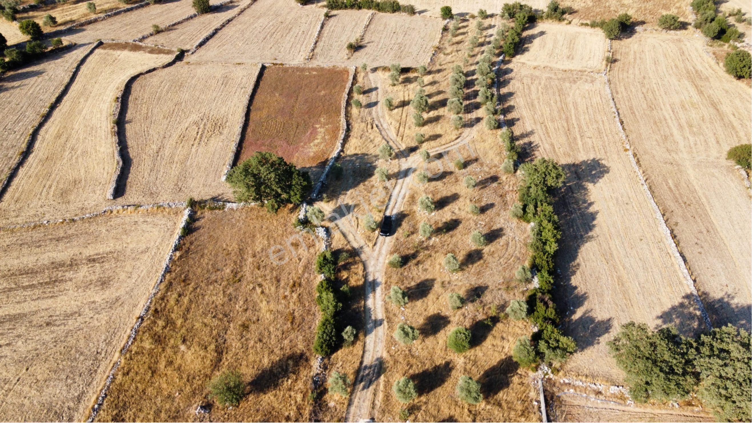 Milas Alaçamda Satılık Çiftlik Arsası - Görsel 11