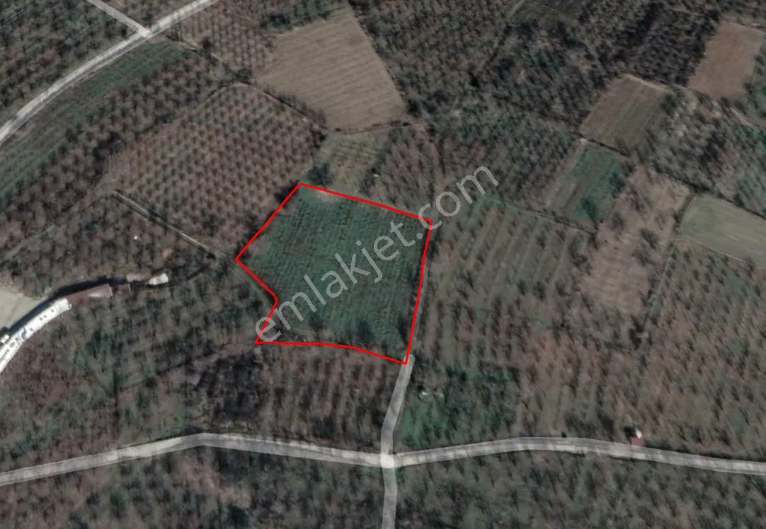 Akşehir Atakent'te Tarımsal Faliyet İçin İdeal Kaçmaz Bahçe - Görsel 6