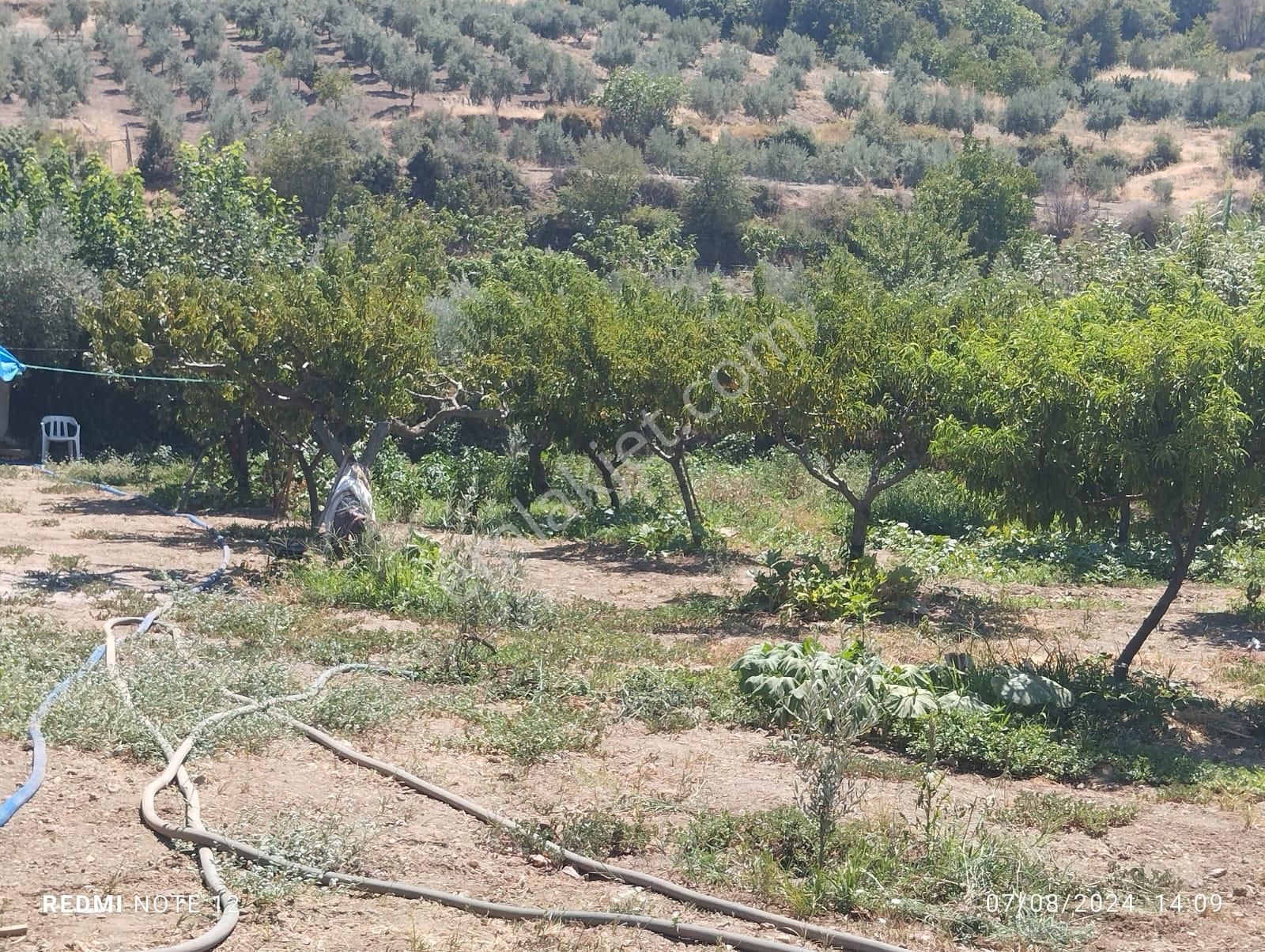 Salihli Karaağaç Satılık Bağ & Bahçe Manisa Salihli'de Satılık Müstakil Tapulu 704 M2 Meyve Bahçesi