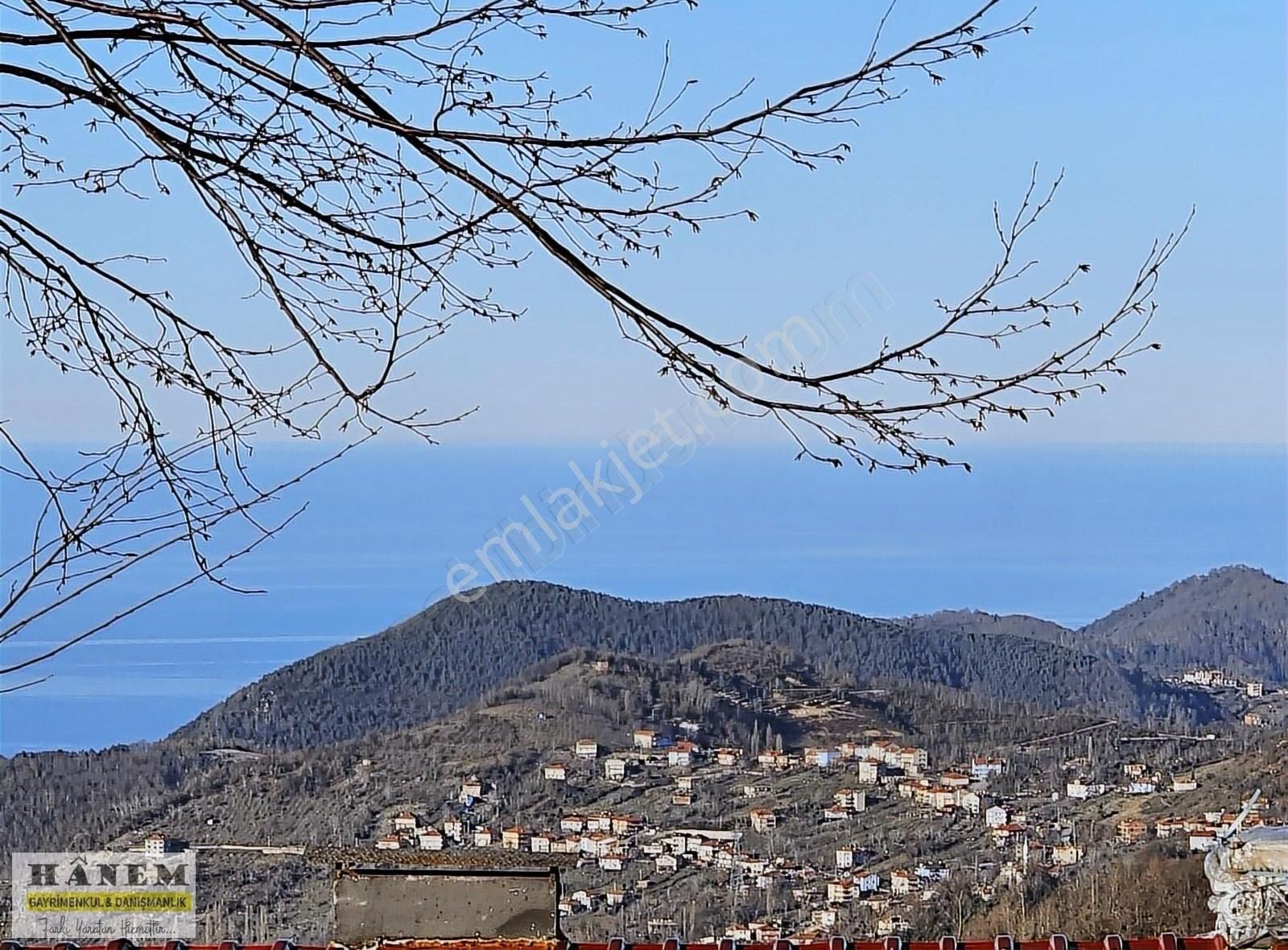 Kozlu Kargalar Köyü (Merkez) Satılık Bağ & Bahçe Hanemden Kozlu Kargalarda Deniz Manzaralı Yol Kenarı Arsa