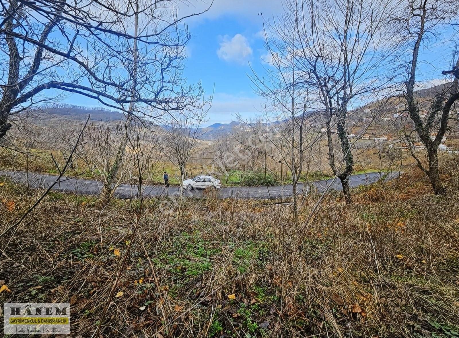 Kozlu Kargalar Köyü (Demirciler) Satılık Bağ & Bahçe Hanemden Kozlu Kargalar Köyünde Ana Yola Sıfır Fırsat Arsa