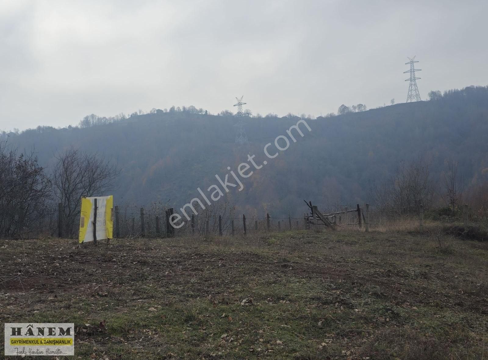 Kozlu Kargalar Köyü (Merkez) Satılık Bağ & Bahçe HANEMDEN ZONGULDAK KARGALAR KÖYÜNDE YOLA CEPHE FIRSAT ARSA