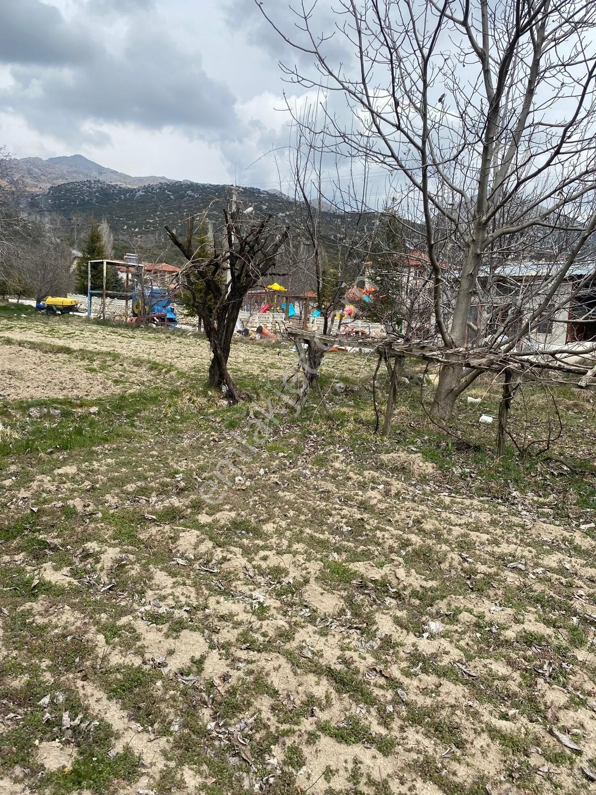 Ağlasun Yeşilbaşköy Köyü (Eynazlı) Satılık Bağ & Bahçe Burdır Ağlasun Yeşilbaşköy Satılık Arsa Bahçe