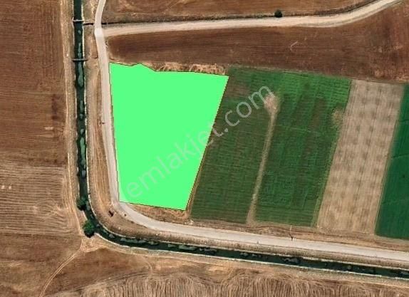 Nusaybin Bahçebaşı Satılık Tarla Satılık 9750m2