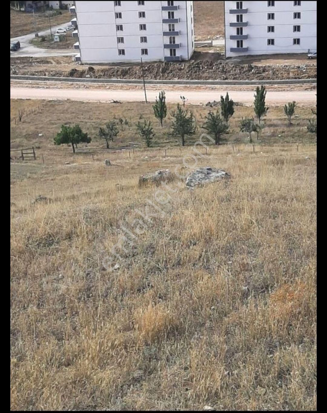 Bayburt Merkez Şingah Kat Karşılığı Konut İmarlı SATILIK VEYA KAT KARŞILIĞI 