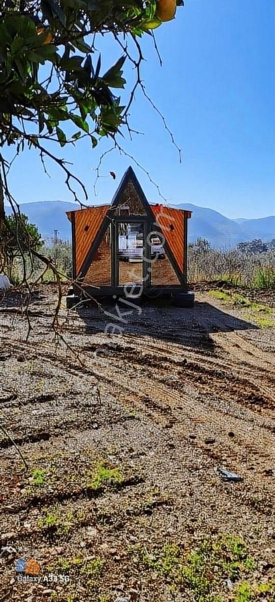 Ortaca Dikmekavak Satılık Tarla Dalaman kayafjbi mh satılık tarla