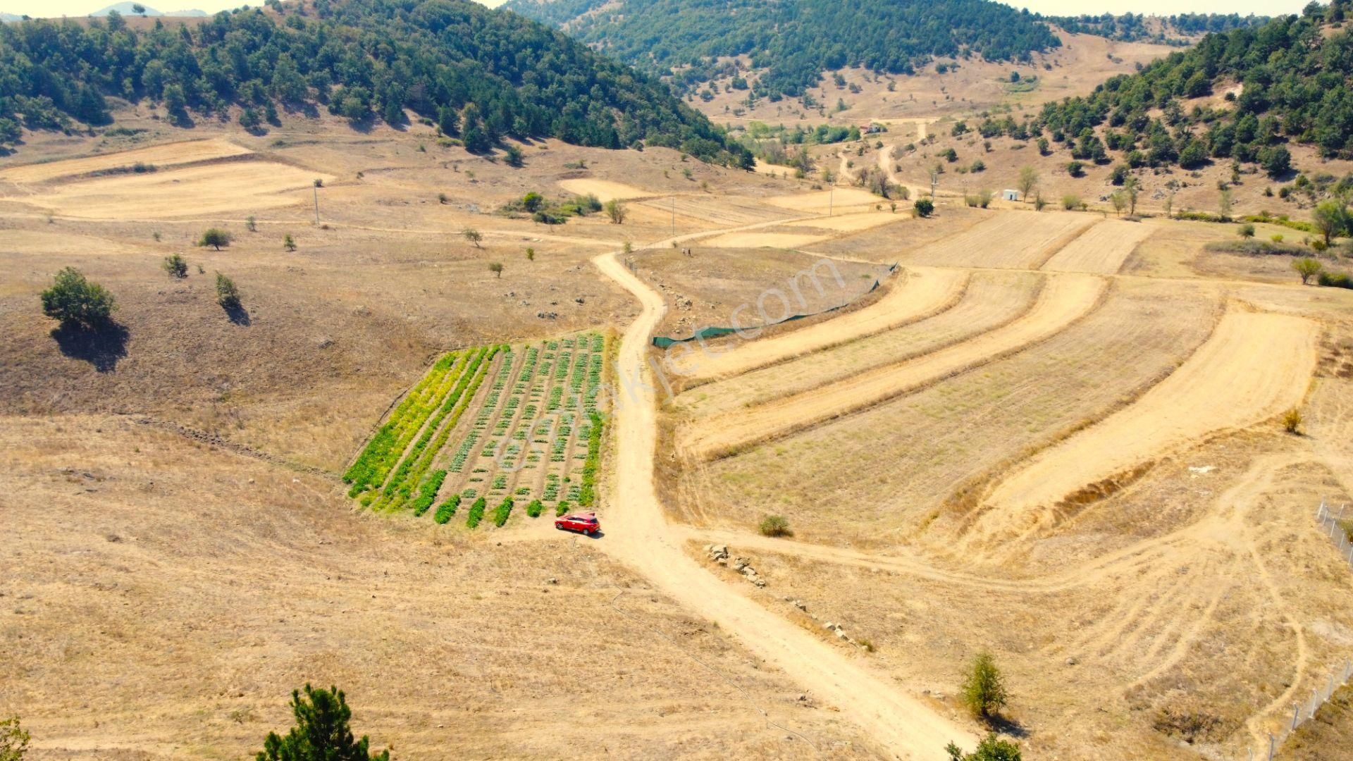 Sındırgı Yüreğil Satılık Tarla Arter Emlak'tan Sındırgı Yüreğil /yeni’de Satılık 3.752 M² Tarla