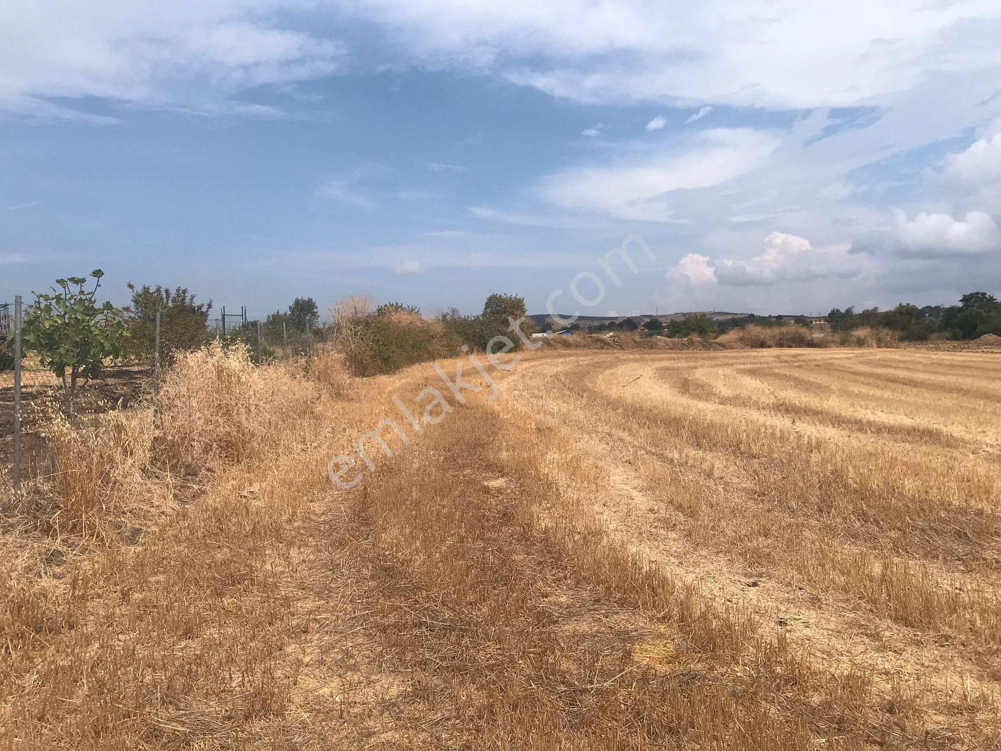 Bursa Nilüfer Karacaoba Mahallesinde Satılık Tarla - Görsel 8