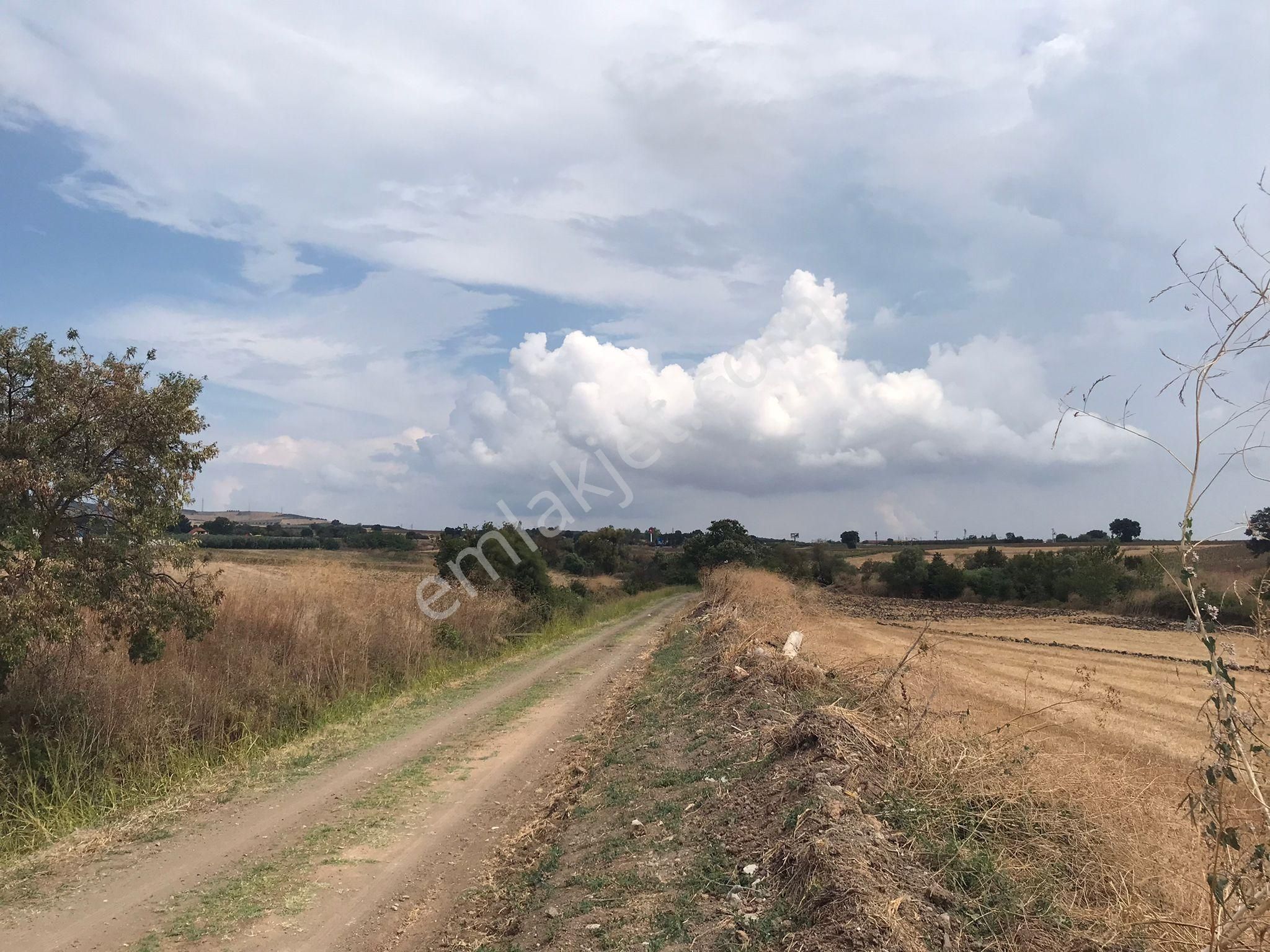 Bursa Nilüfer Karacaoba Mahallesinde Satılık Tarla - Görsel 15