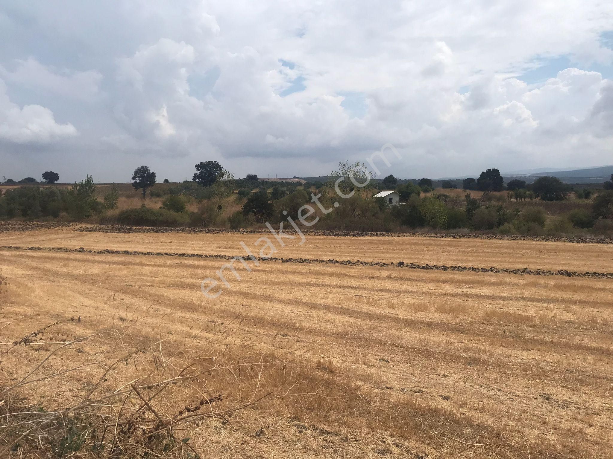 Bursa Nilüfer Karacaoba Mahallesinde Satılık Tarla - Görsel 13