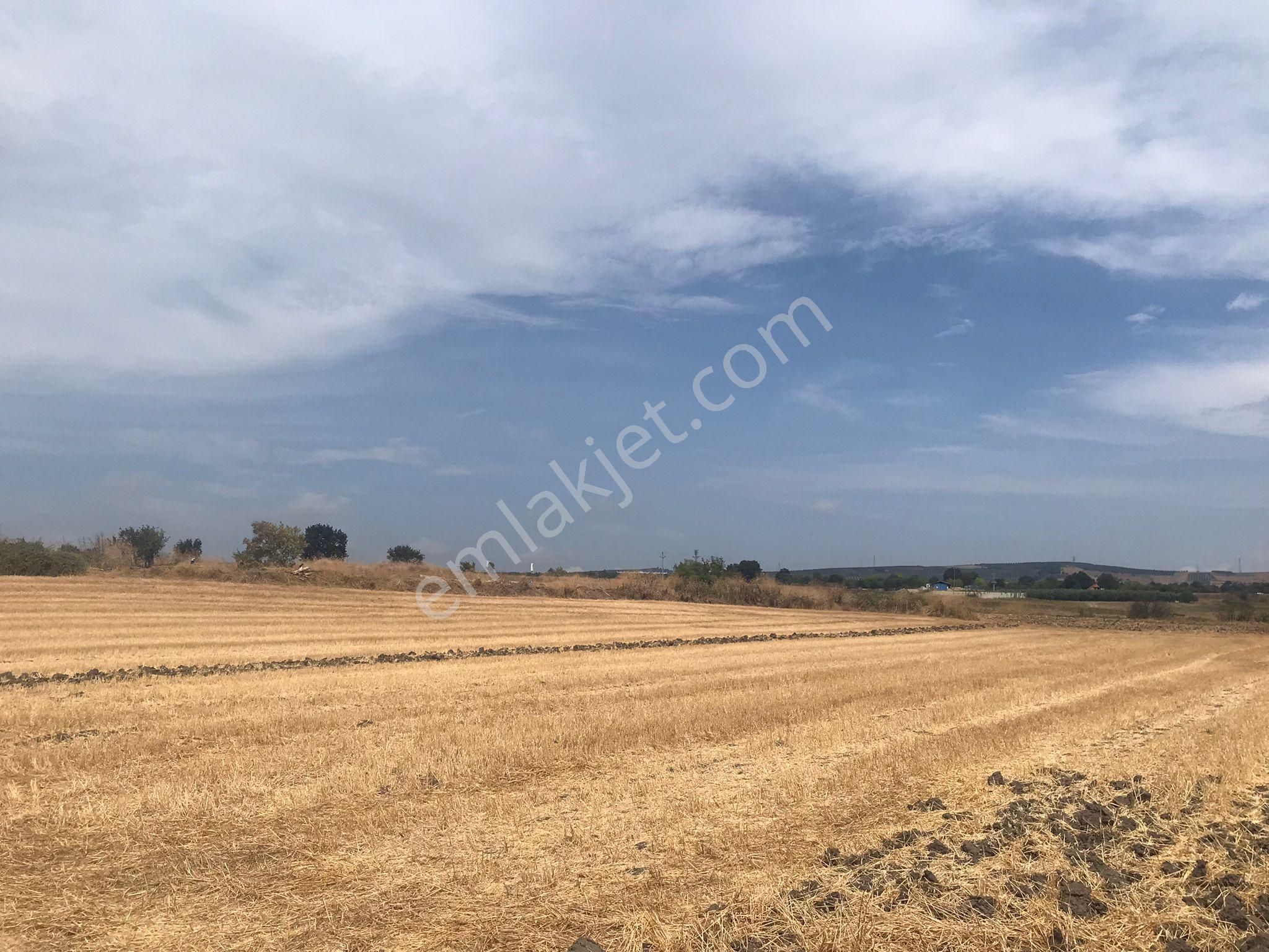 Bursa Nilüfer Karacaoba Mahallesinde Satılık Tarla - Görsel 10