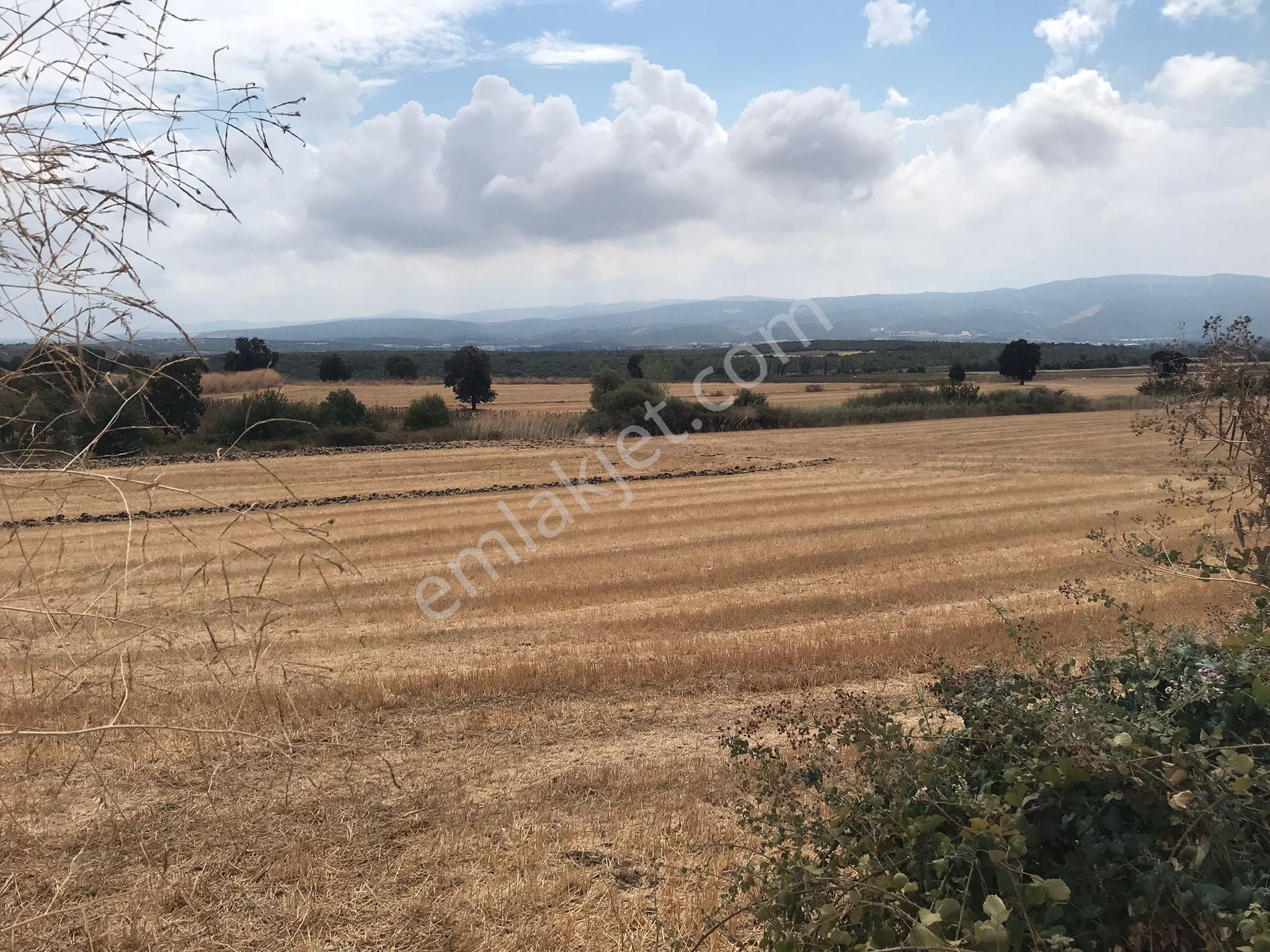 Bursa Nilüfer Karacaoba Mahallesinde Satılık Tarla - Görsel 17