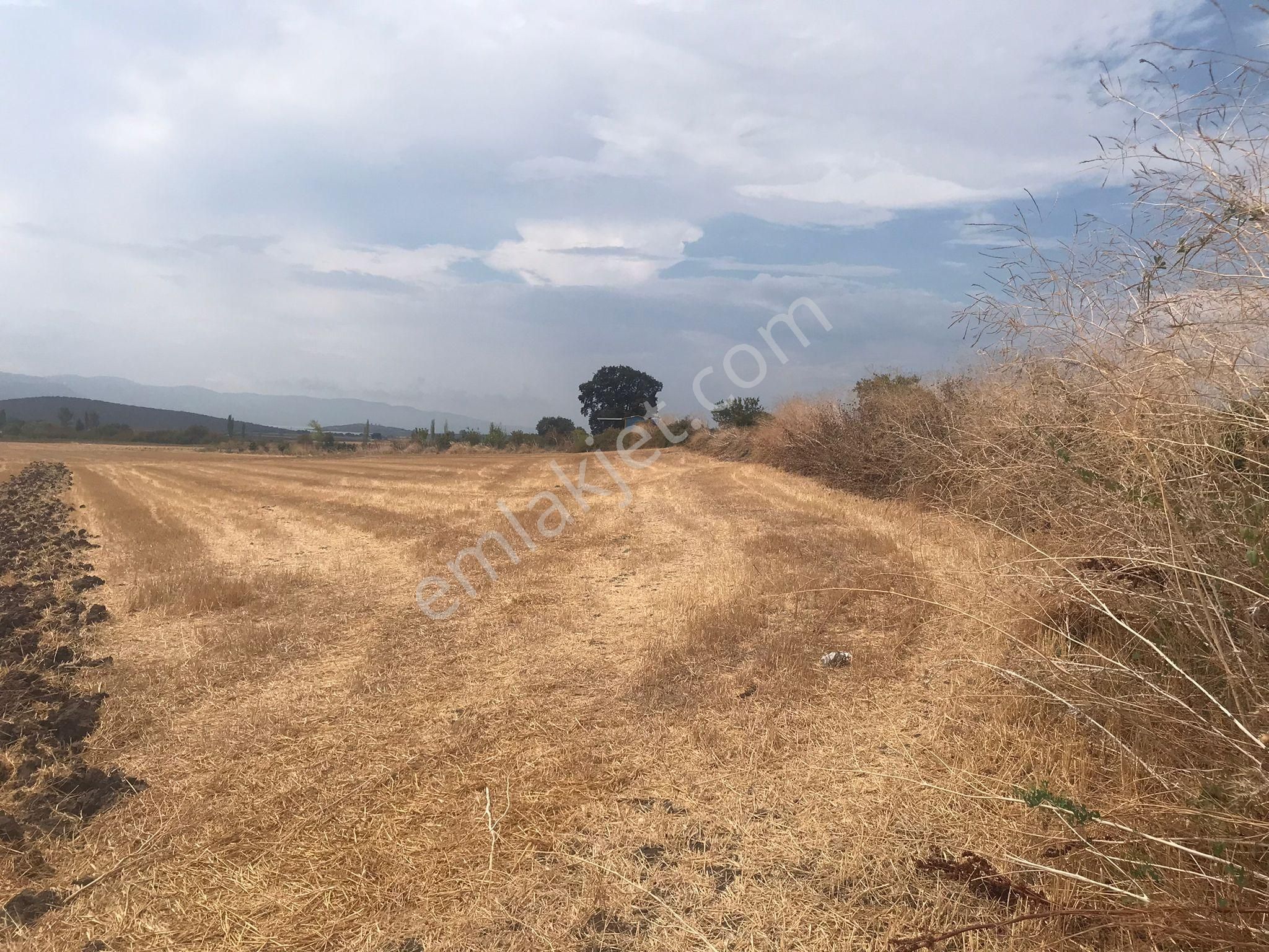 Bursa Nilüfer Karacaoba Mahallesinde Satılık Tarla - Görsel 14