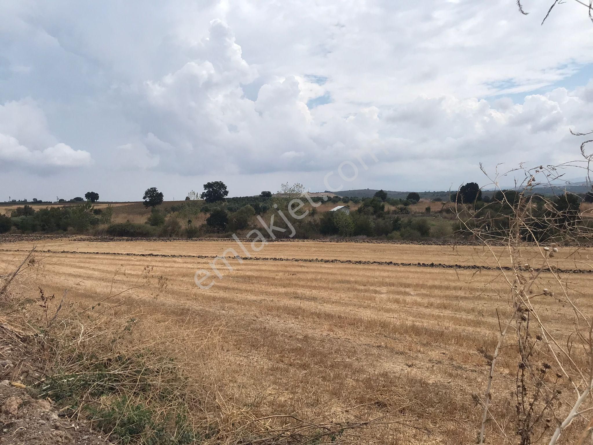 Bursa Nilüfer Karacaoba Mahallesinde Satılık Tarla - Görsel 16