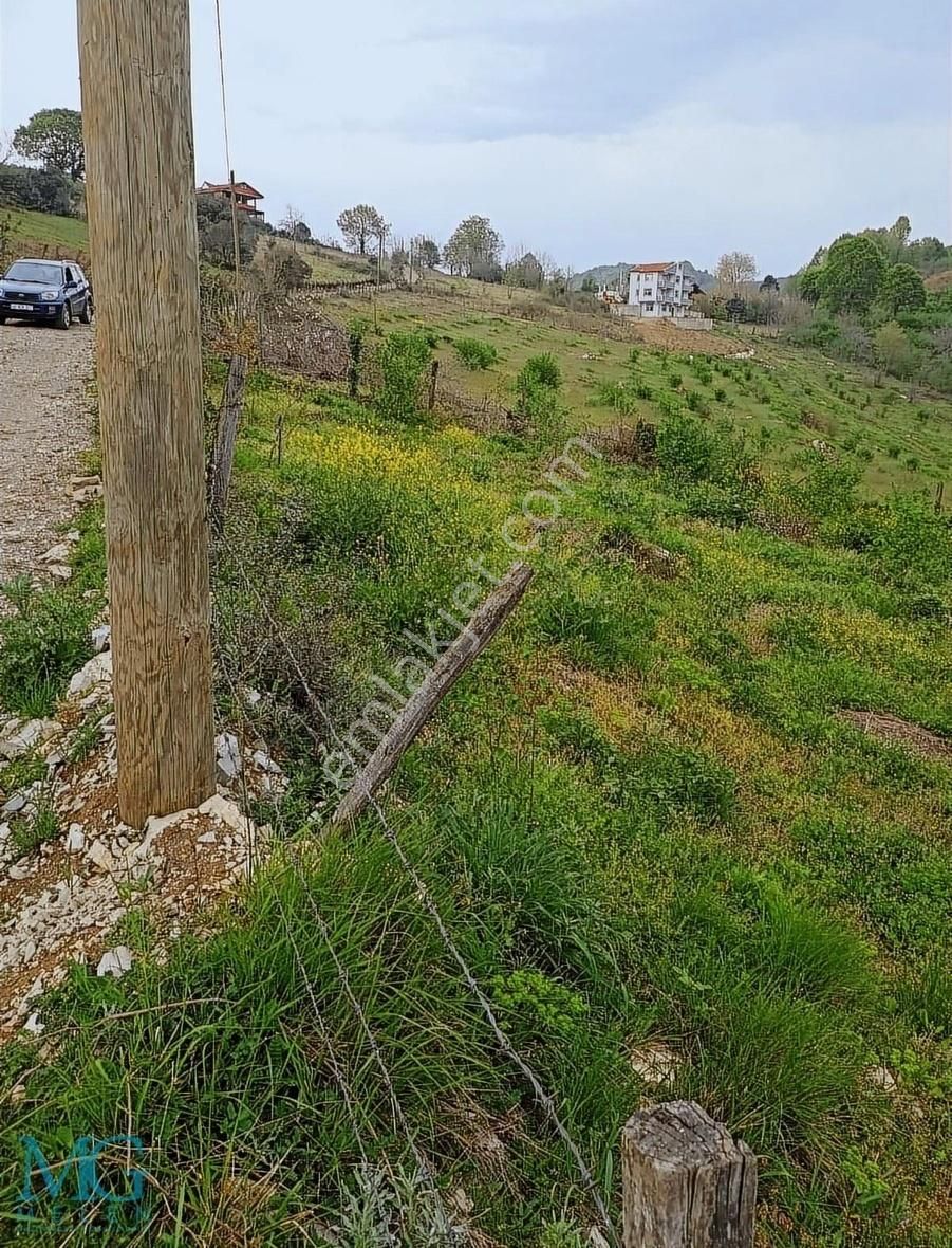 Köy İçinde Ev Yapılabilir Satılık Meyve Ve Fındık Bahçesi - Görsel 6
