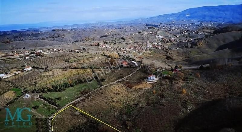 Kocaali Karalar Satılık Bağ & Bahçe Köy İçinde Ev Yapılabilir Satılık Meyve Ve Fındık Bahçesi