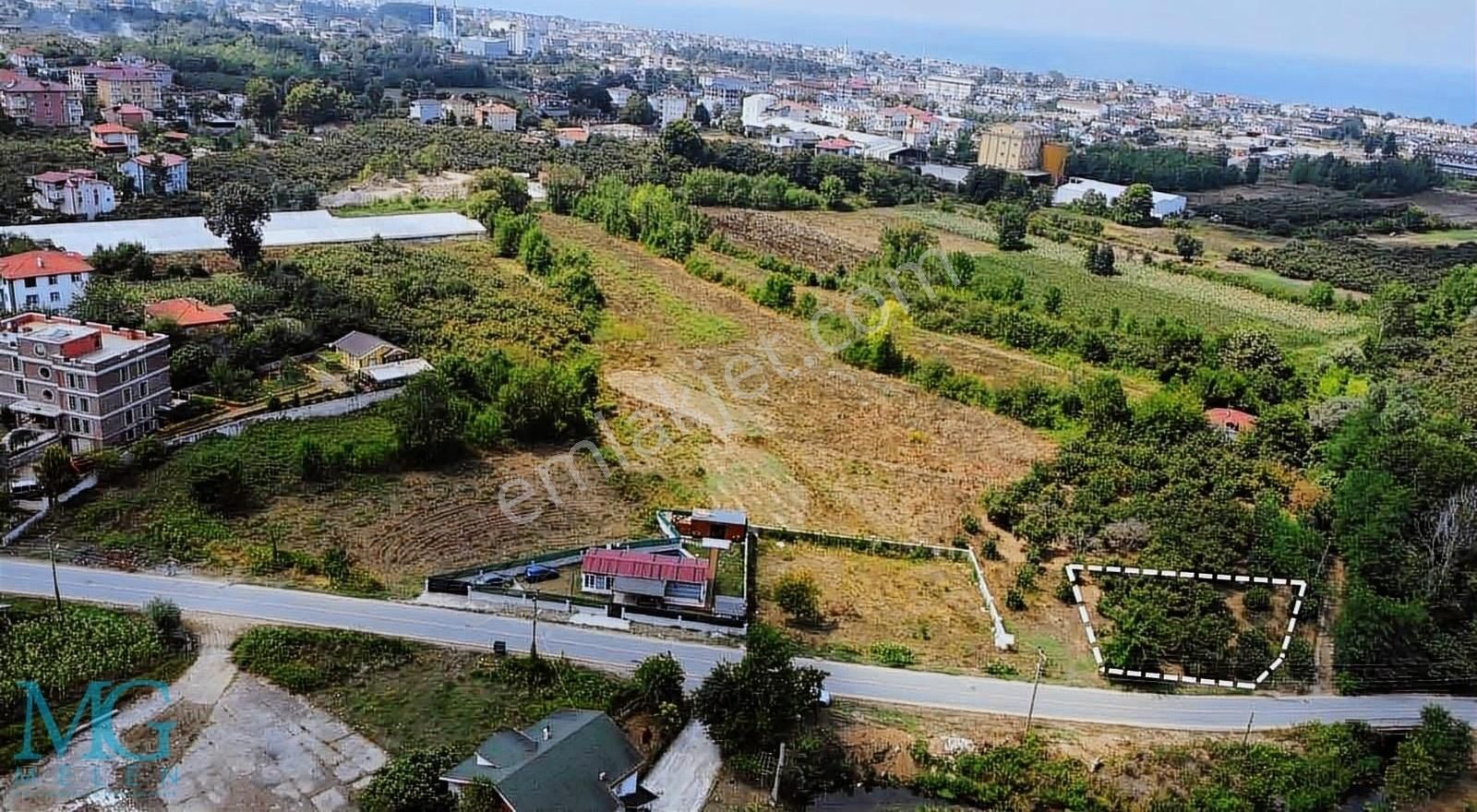 Kocaali Yayla Satılık Konut İmarlı Mahalle İçin'de Anayol Kenarı İmarlı Arsa