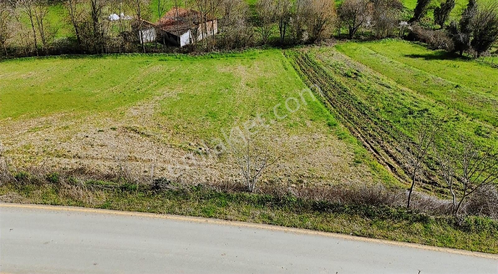 Kaynarca Eğrioğlu Satılık Konut İmarlı KAYNARCA EĞRİOĞLU MAH. 1723 M2 %40 İMARLI SATILIK ARSA