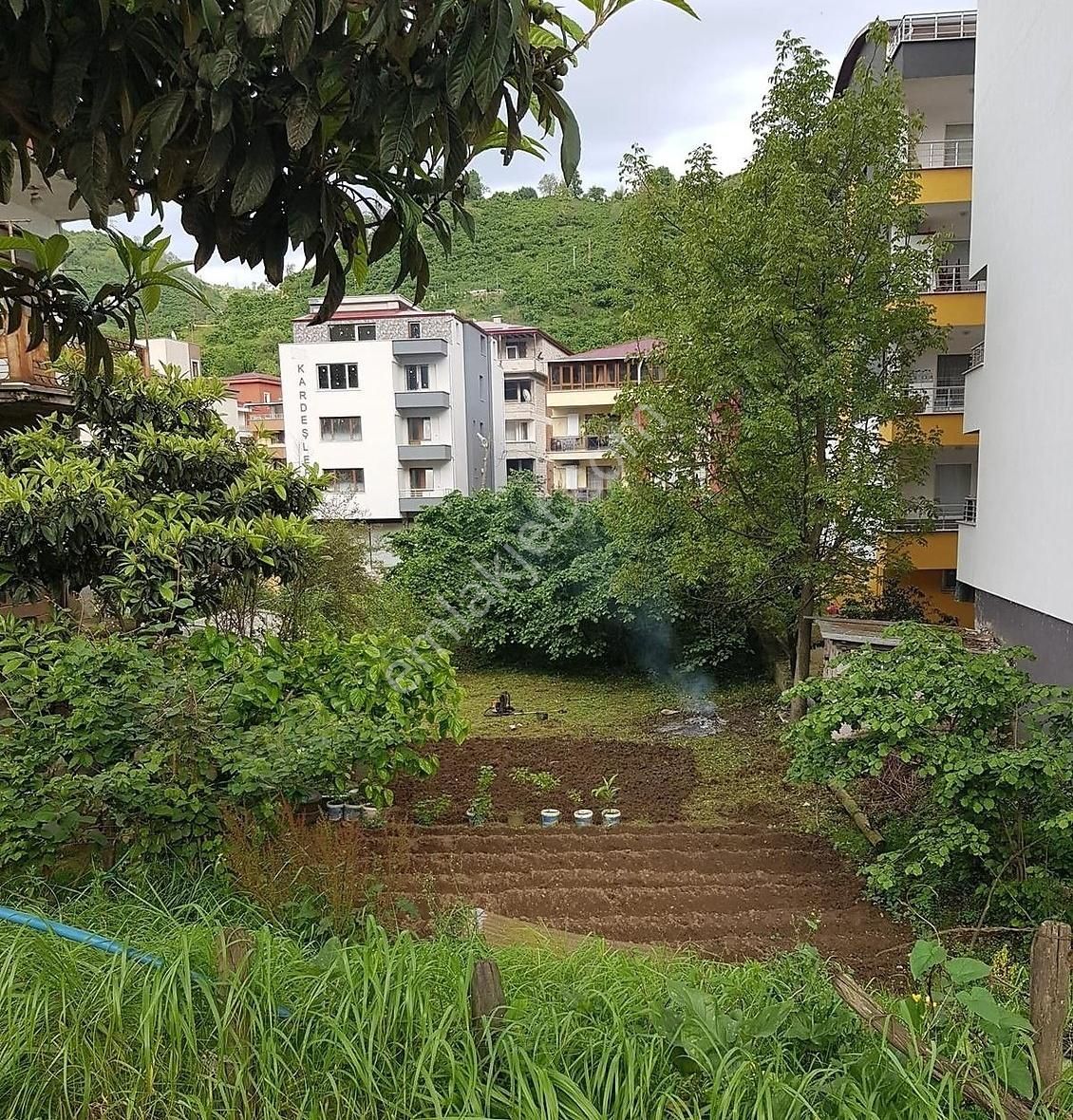 Giresun Giresun Merkez Satılık Ticari İmarlı ÇITLAKKALE MAHALLESİNDE 595M2 İMARLI SATILIK/KAT KARŞILIĞI ARSA