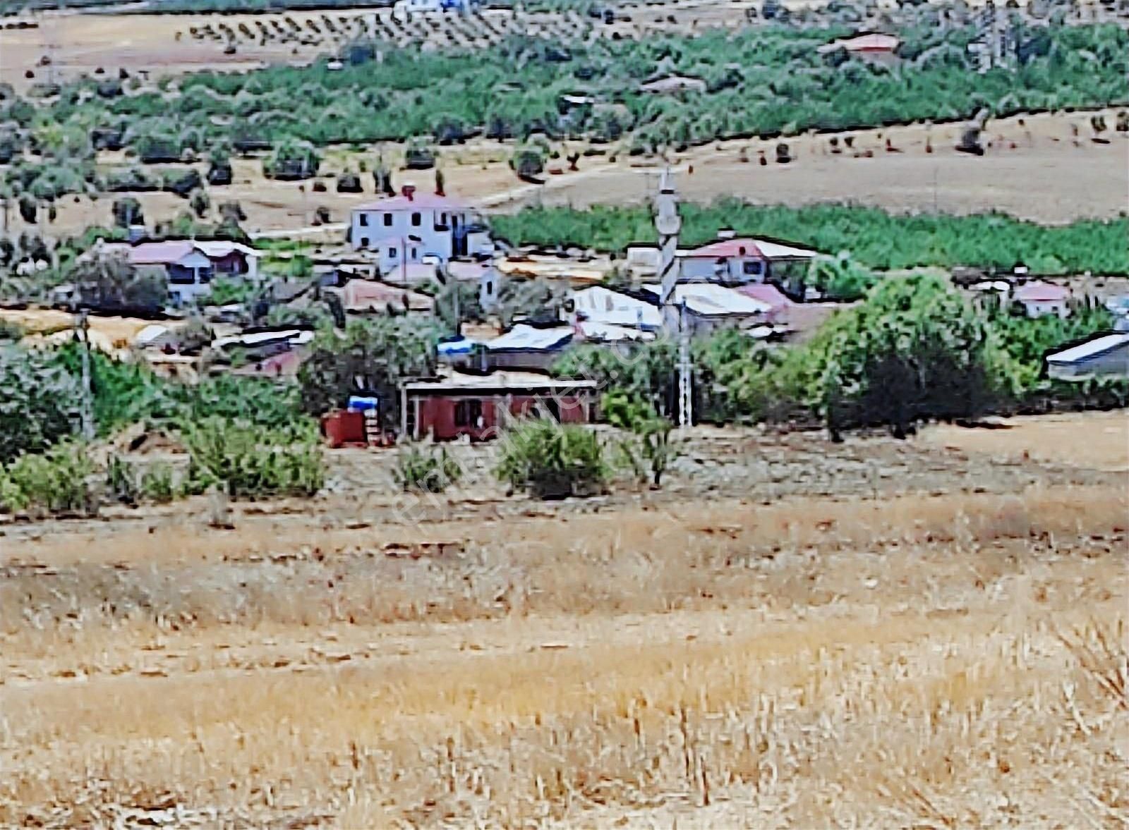 Elazığ Merkez Temürköy Köyü Satılık Tarla Hankendi Temur Köyünde Satılık Tarla