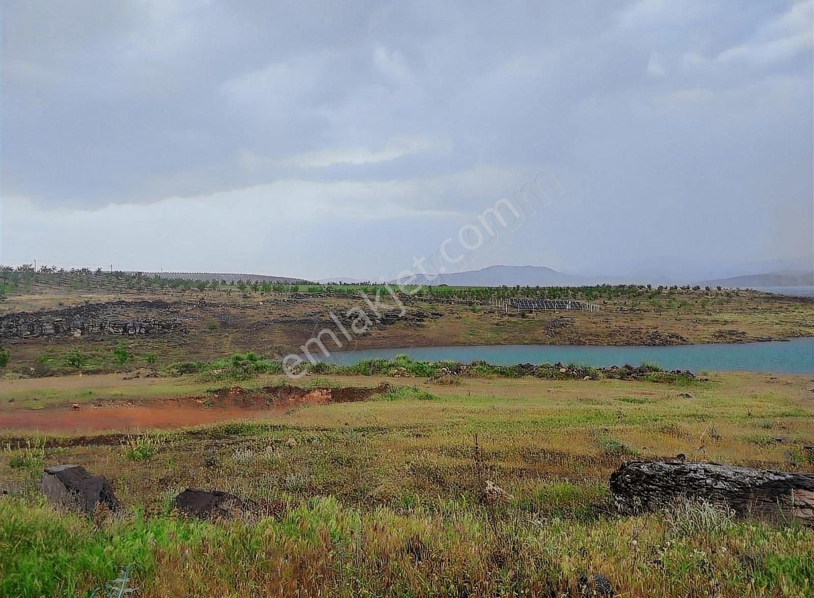 Elazığ Merkez Aydıncık Köyü Satılık Tarla Pertek Yolunda(Aydıncık)göl manzaralı Tarla