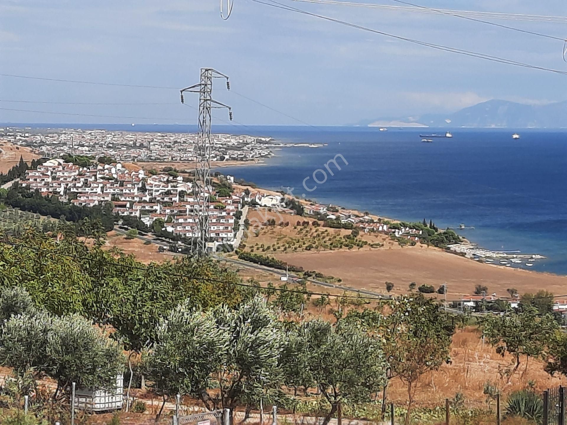 Şarköy Cumhuriyet Satılık Konut İmarlı ŞARKÖY KOCAALİ DE 805 MT VİLLA ARSASI