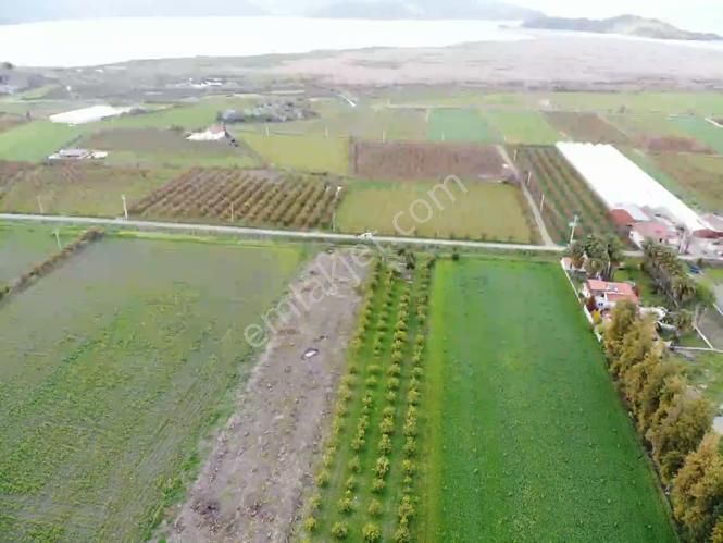 Muğla Dalyanda Göle Yakın Satılık 4100m2 Tarla - Görsel 4
