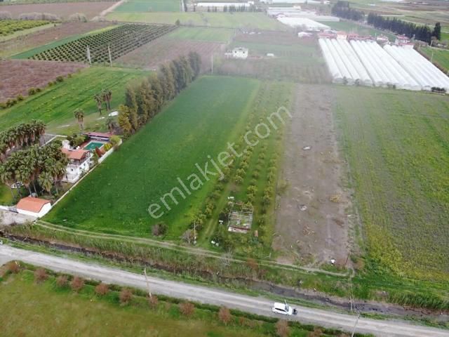 Muğla Dalyanda Göle Yakın Satılık 4100m2 Tarla - Görsel 2