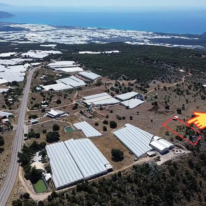 Demre Gürses Satılık Tarla DEMRE GÜRSES SATILIK TARLA