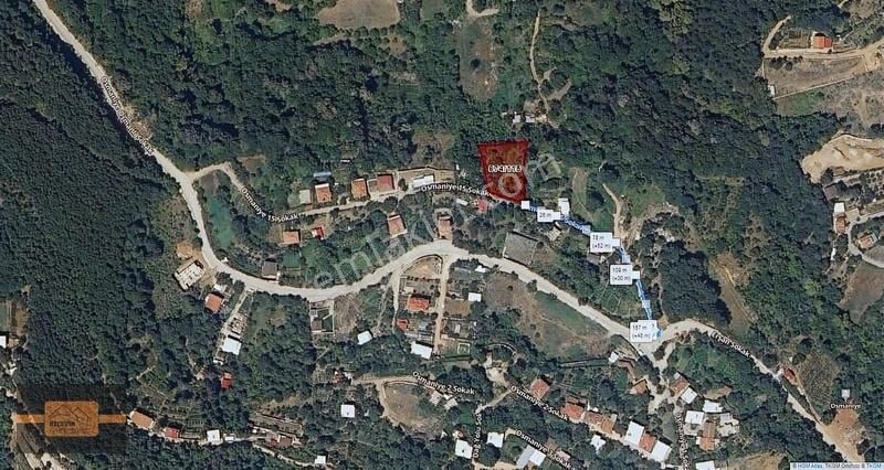 Kestel Osmaniye Satılık Bağ & Bahçe KESTEL OSMANİYE'DE KÖY İÇİNDE SATILIK 1351 METRE KARE BAHÇE