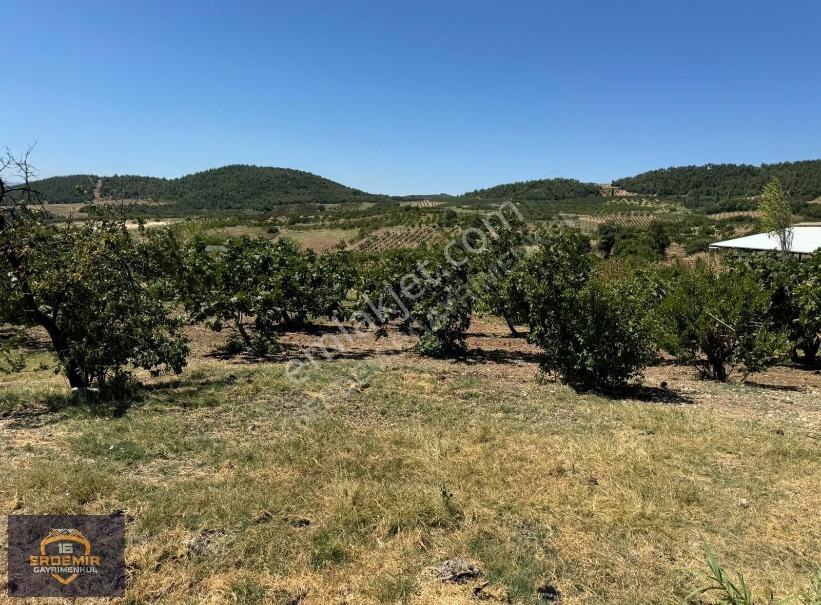 Bursa Osmangazi Selçukgazi Köyünde Satılık Bağ Bahçe - Görsel 26