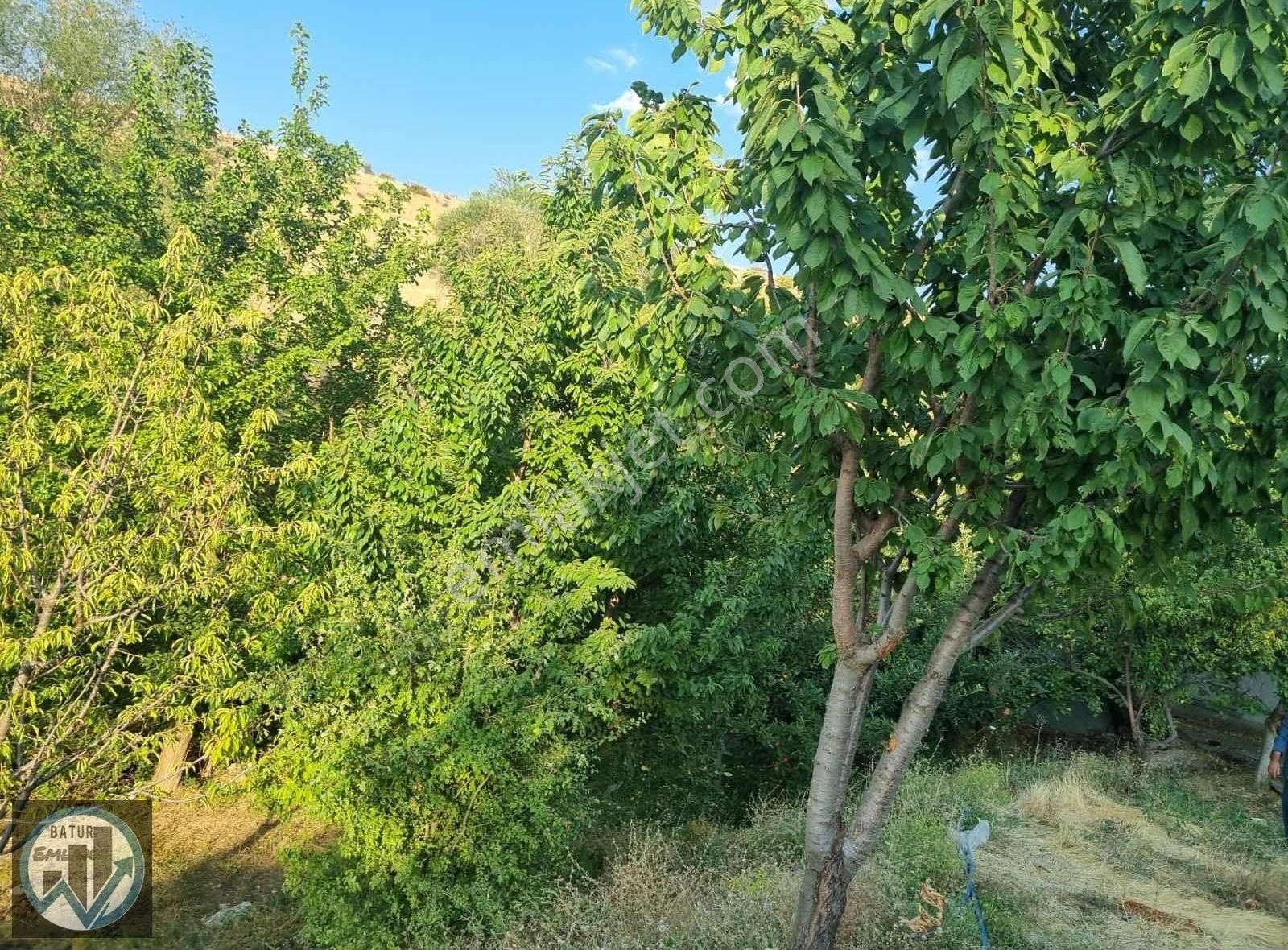 Yeşilyurt Gedik Satılık Bağ & Bahçe YEŞİLYURT GEDIK'TE SATILIK ÜZÜM BAĞI