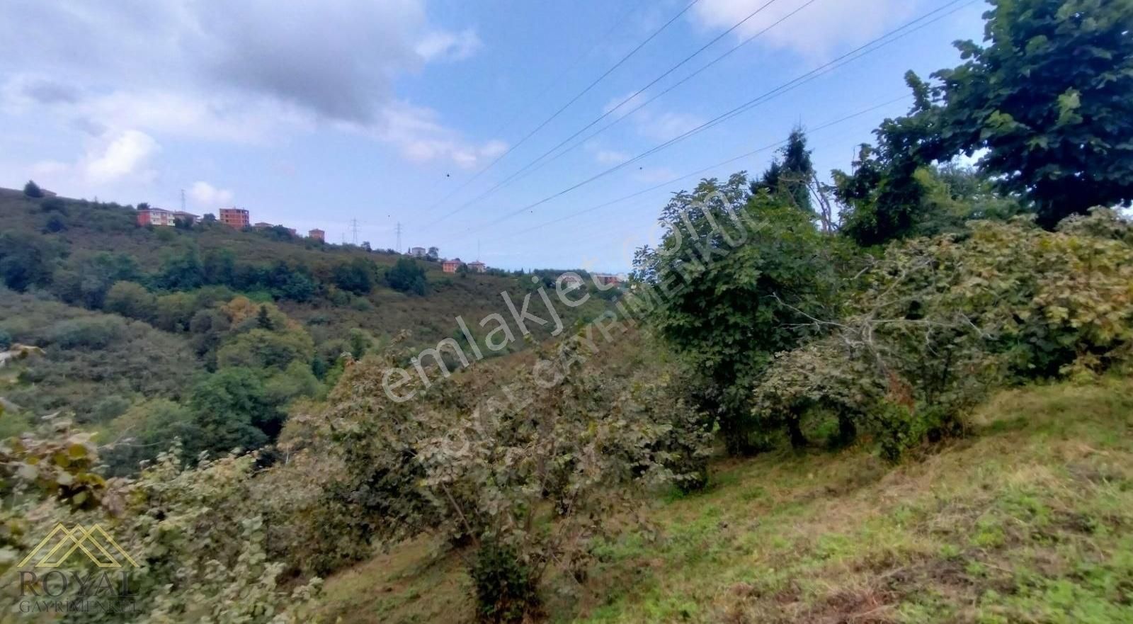 Ortahisar Çilekli Satılık Bağ & Bahçe Villa Karşılığı veya Satılık Deniz Manzaralı Arazi