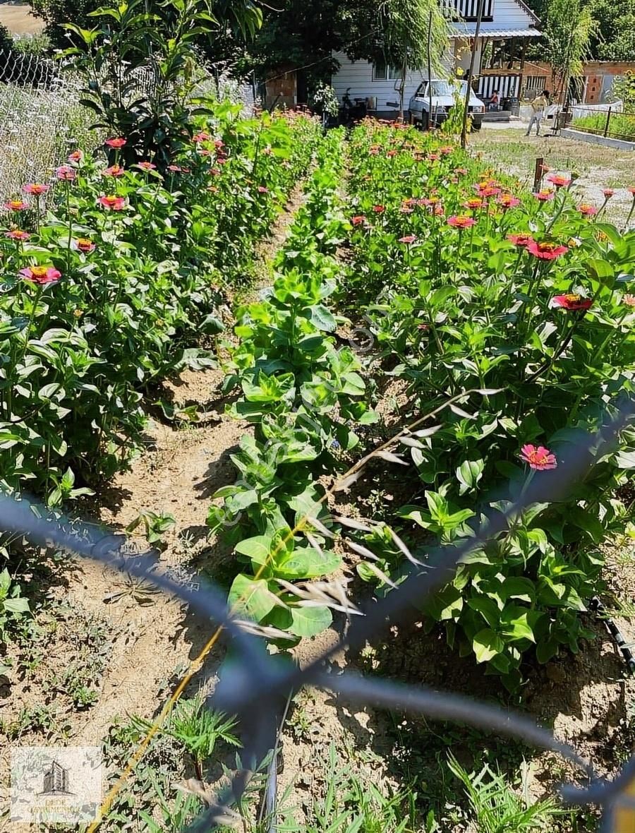 Yenişehir Burcun Köyü 4465 M2 Arsa Ve Bungalov Ev - Görsel 7