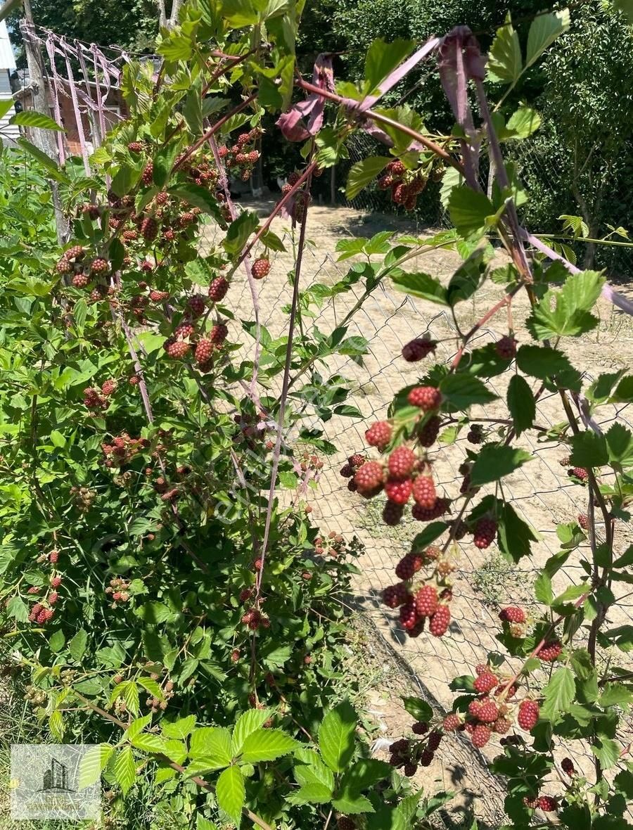 Yenişehir Burcun Köyü 4465 M2 Arsa Ve Bungalov Ev - Görsel 23