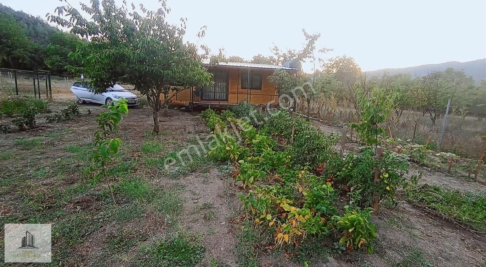 Kestel Gölçük'te 483 M2 Satılık Tarla - Görsel 2