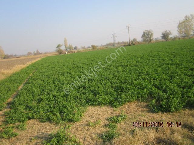 İzmir Torbalı Gold Emlaktan Satılık Tarla - Görsel 2