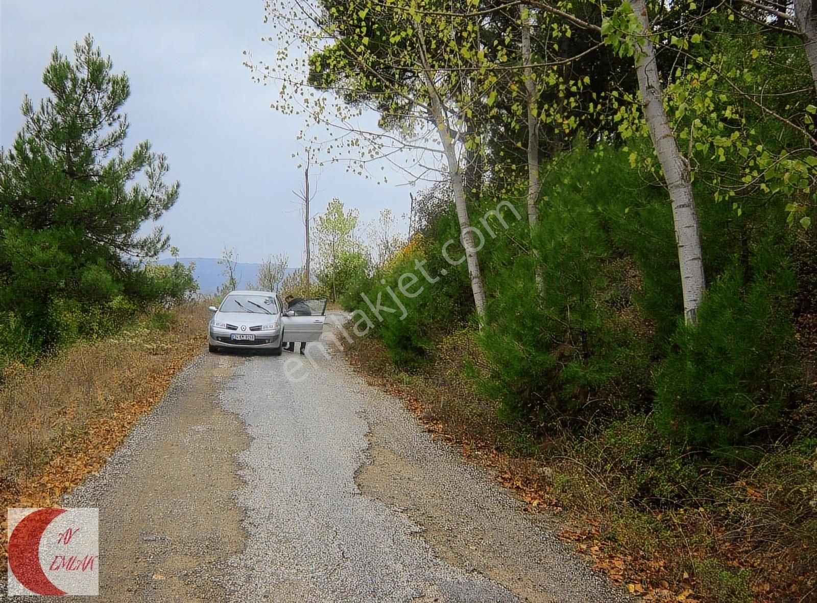 Geyve Güney Satılık Tarla % 40 İMARLI ANA YOL KENARINDA 3516 M ARAZİM