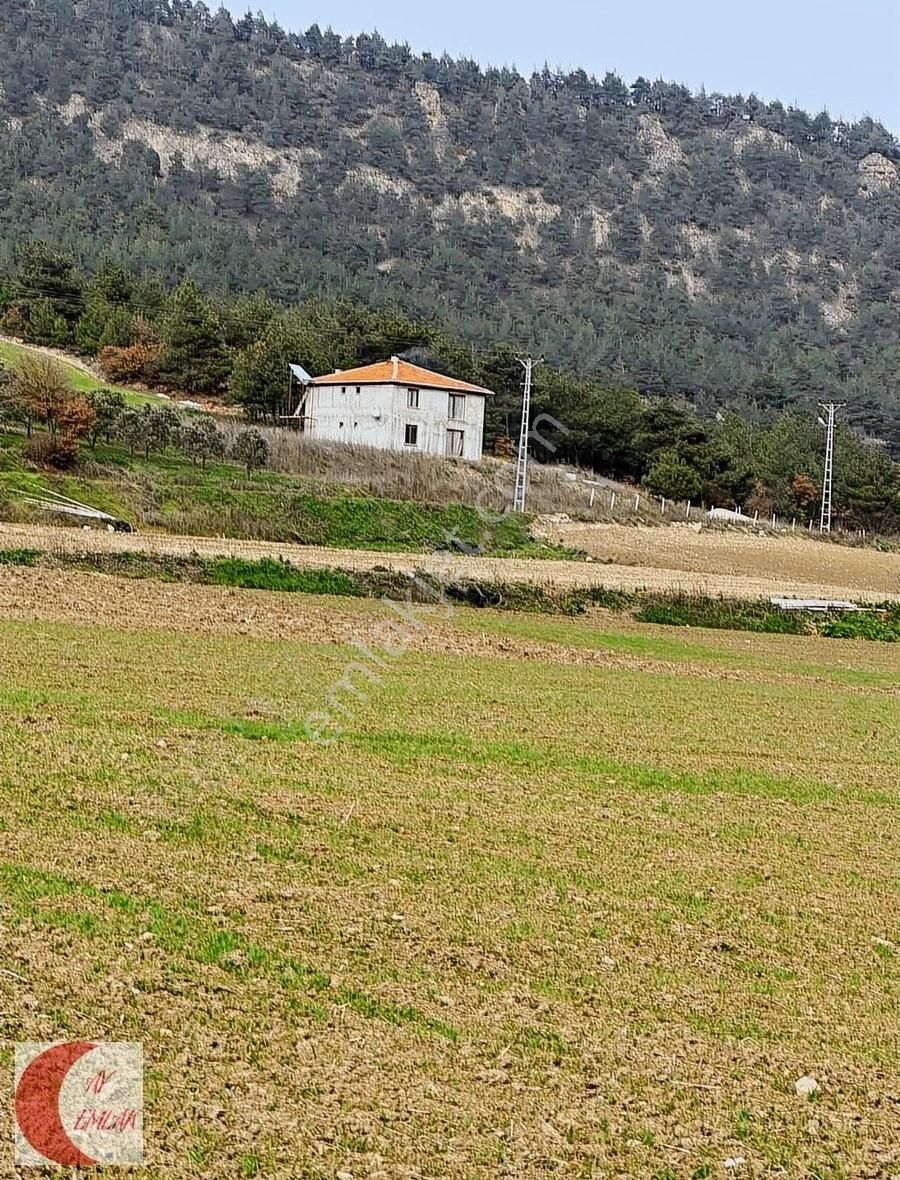 Geyve Karacaören Satılık Bağ & Bahçe KARACAÖREN GÖYNÜKSUYUNDA PARA KAZANACAK YERİMİZ