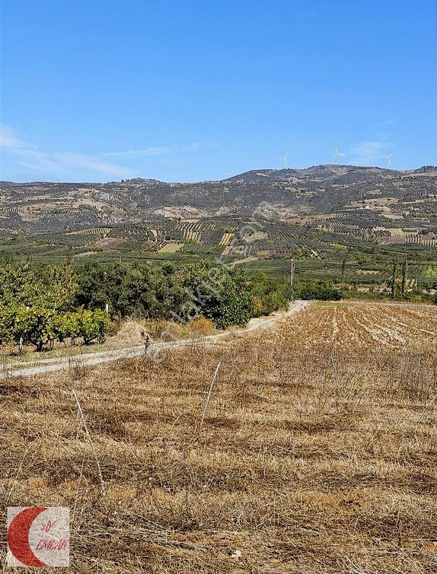 Geyve Ahibaba Satılık Tarla Ay Emlak'tan Geyve Merkeze 2 Km Mesafede Arazi