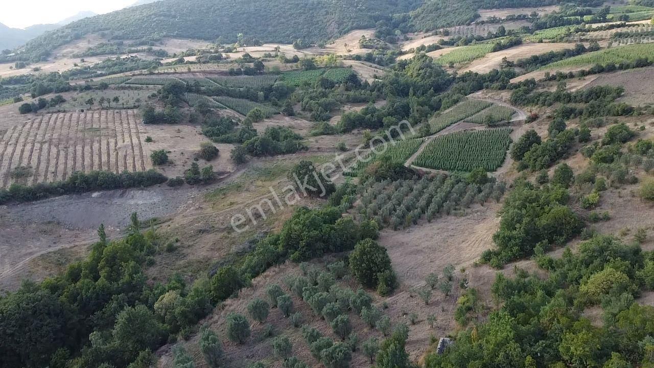 Osmaneli Oğulpaşa Köyü (Merkez) Satılık Tarla Oğulpaşa Köyünde 2.750 M2 Satılık,yatırma Uygun Tarla