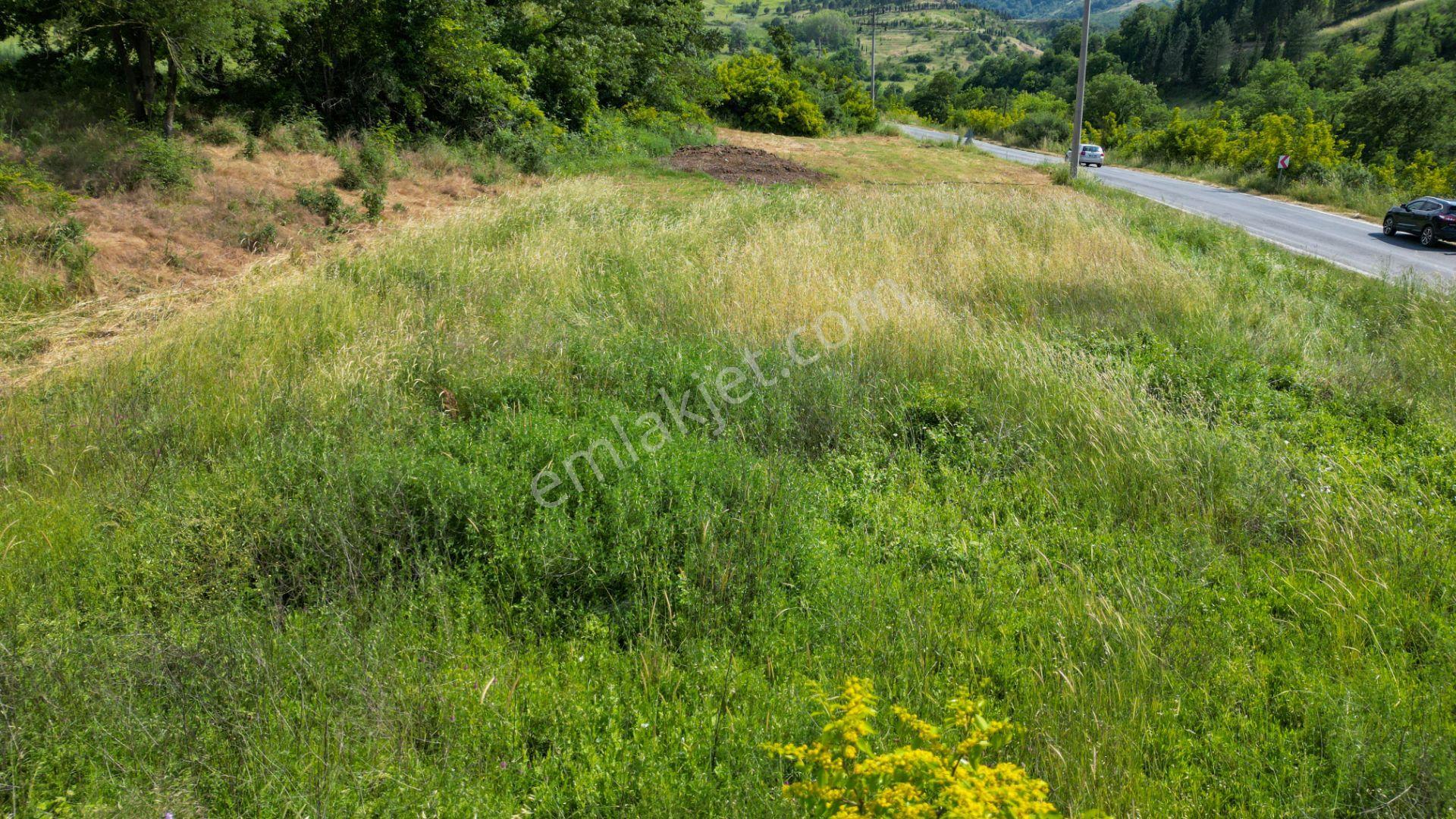 Kocaeli Karamürsel Kızderbent Satılık %5 İmarlı 1066 M2 Tarla - Görsel 9