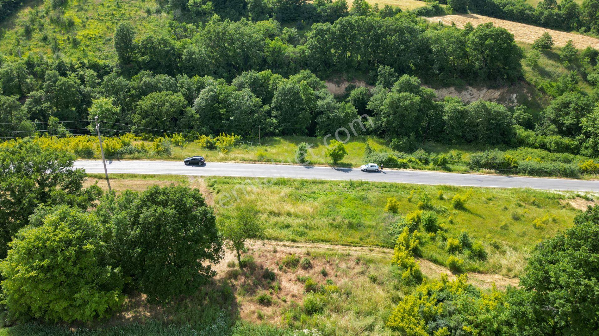 Kocaeli Karamürsel Kızderbent Satılık %5 İmarlı 1066 M2 Tarla - Görsel 4