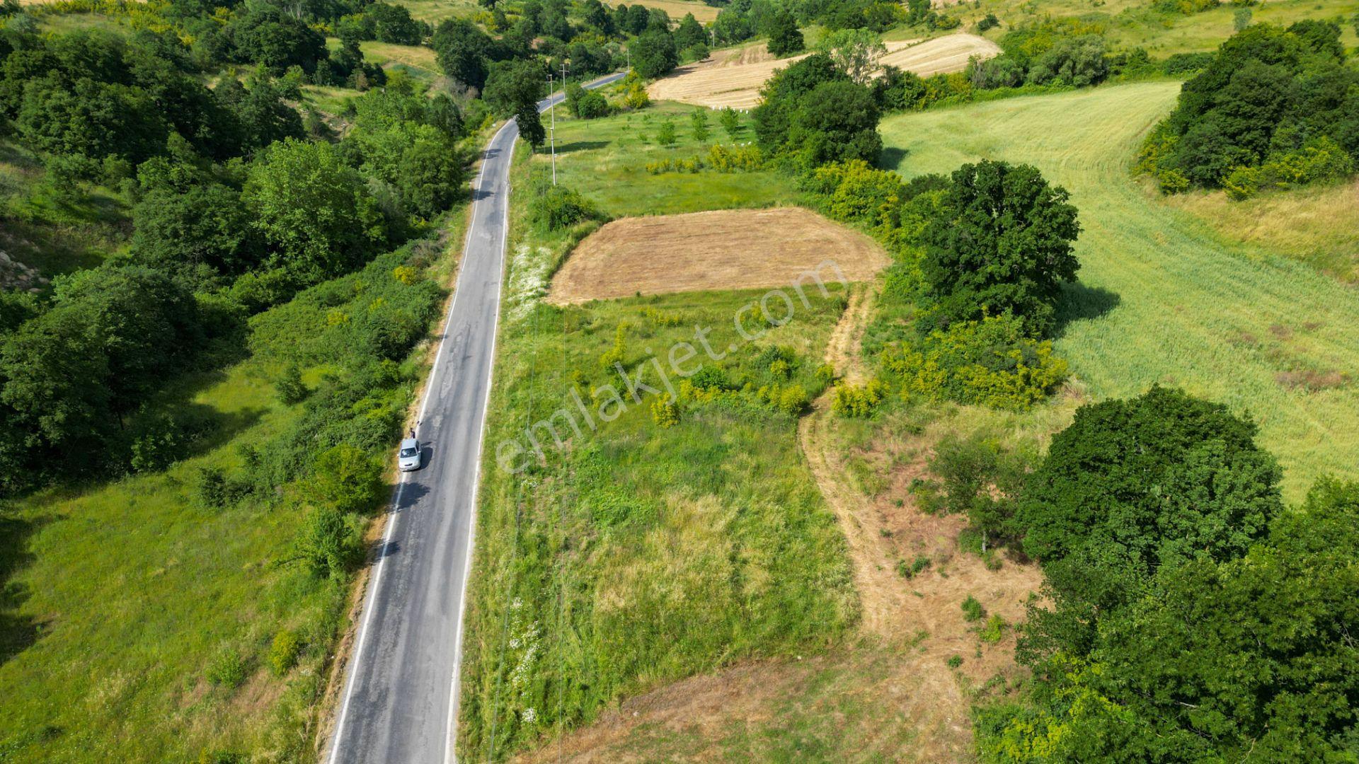 Kocaeli Karamürsel Kızderbent Satılık %5 İmarlı 1066 M2 Tarla - Görsel 3