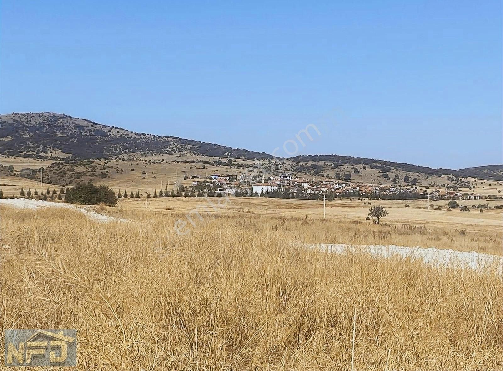 Seyitgazi Sarayören Satılık Tarla Sarayören'de Yeni Köy Alanı Yakını Resmi Yolu Olan Satılık Tarla