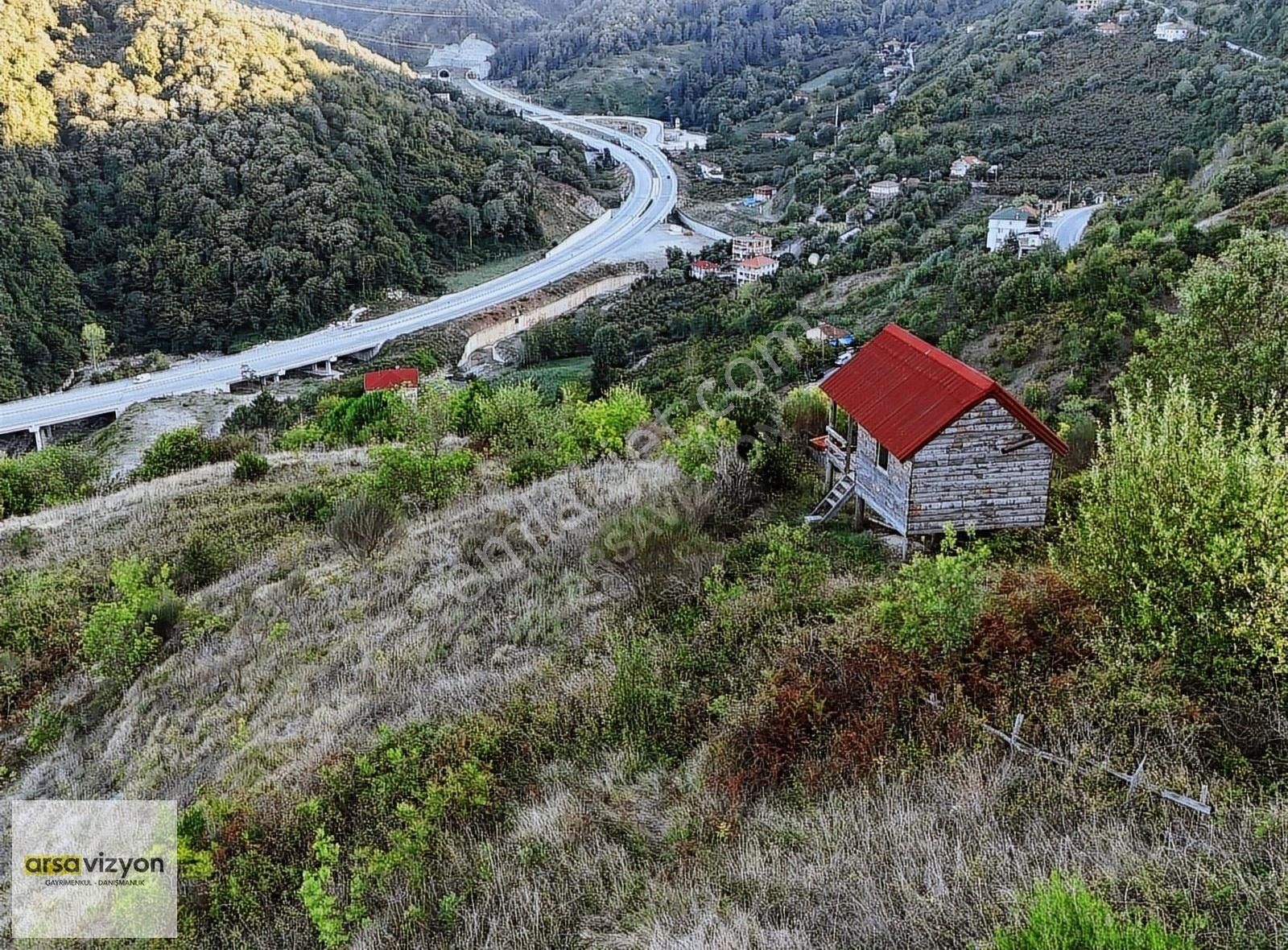 Kurucaşile Meydan Köyü (Yenice) Satılık Tarla KONAKLAMA İMKANLI, DENİZE 1.5 km, TEK TAPU, HOBİ BAHÇESİ 4961 m²