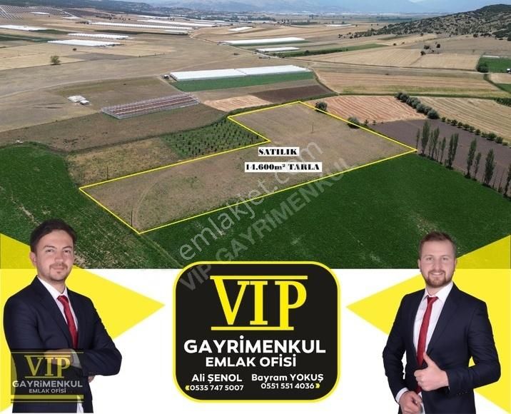 Elmalı Yalnızdam Satılık Tarla VİP GAYRİMENKUL'den YANLIZDAM MAH.14.600m² TARLA