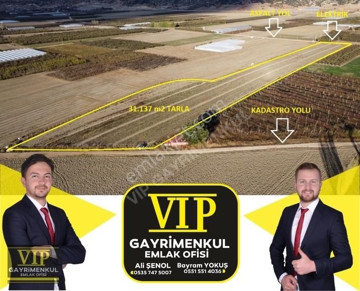 Elmalı Bayralar Satılık Tarla VIP GAYRİMENKUL' den BAYRALAR YOLA SIFIR ELEKTRİK SONDAJ MEVCUT